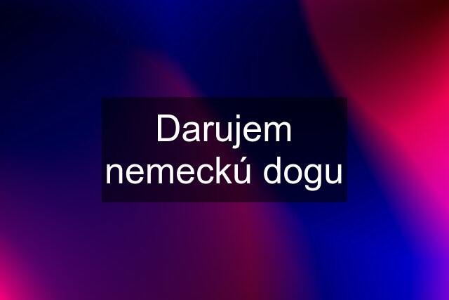 Darujem nemeckú dogu