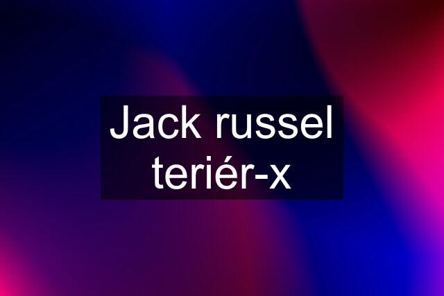 Jack russel teriér-x