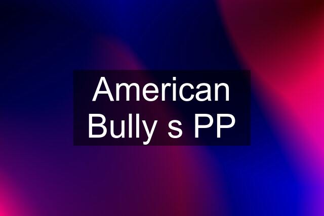 American Bully s PP