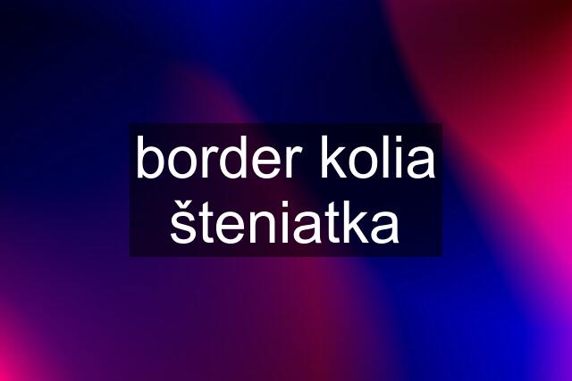 border kolia šteniatka