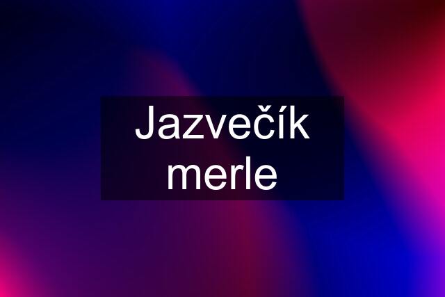 Jazvečík merle