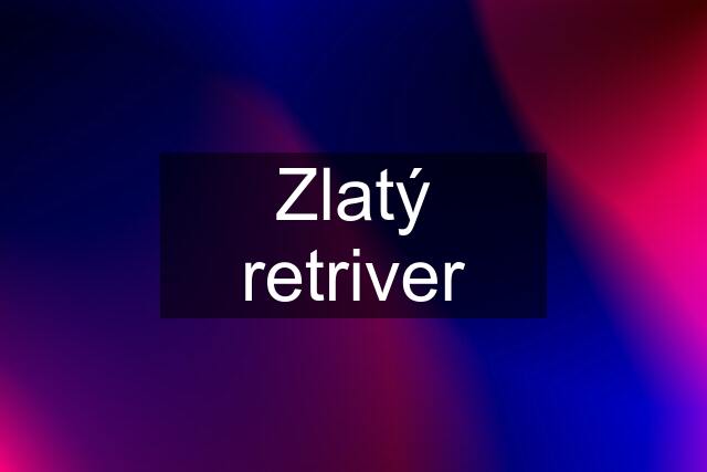 Zlatý retriver