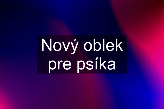 Nový oblek pre psíka