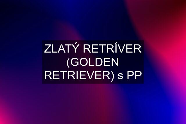 ZLATÝ RETRÍVER (GOLDEN RETRIEVER) s PP