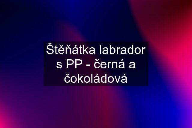 Štěňátka labrador s PP - černá a čokoládová