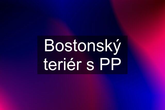 Bostonský teriér s PP