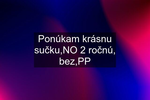 Ponúkam krásnu sučku,NO 2 ročnú, bez,PP