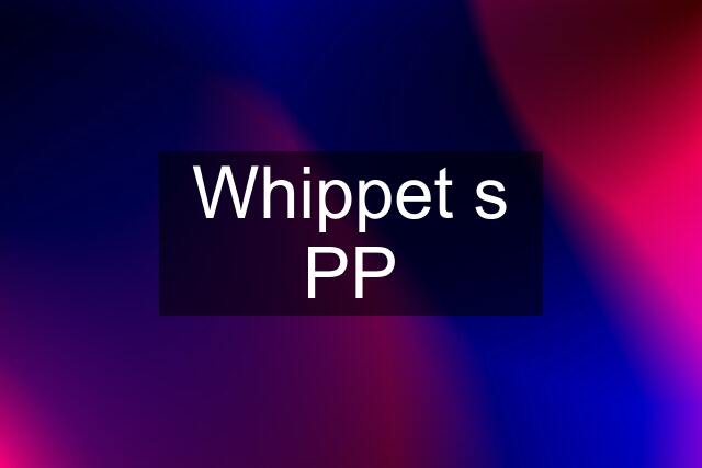 Whippet s PP