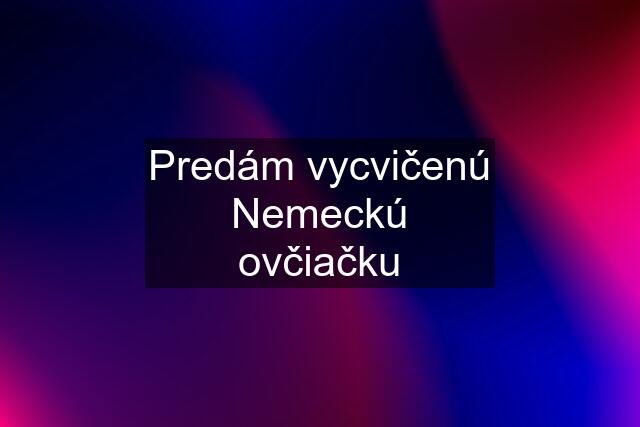 Predám vycvičenú Nemeckú ovčiačku