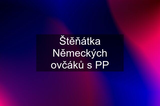 Štěňátka Německých ovčáků s PP