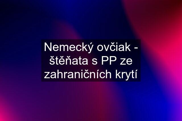 Nemecký ovčiak - štěňata s PP ze zahraničních krytí