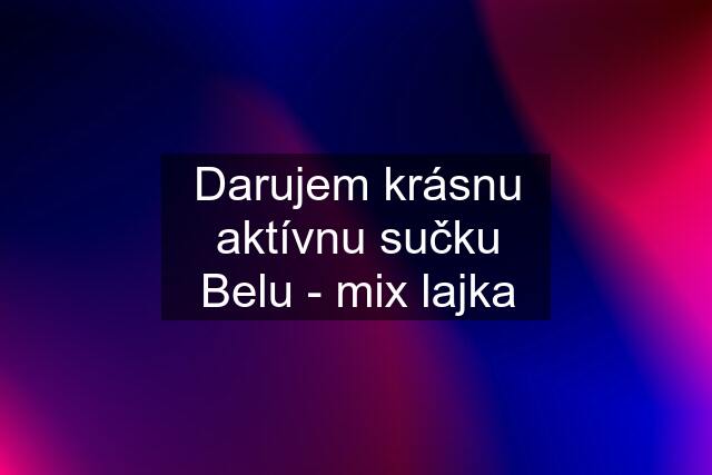 Darujem krásnu aktívnu sučku Belu - mix lajka