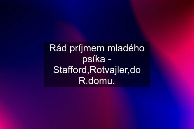 Rád príjmem mladého psíka - Stafford,Rotvajler,do R.domu.