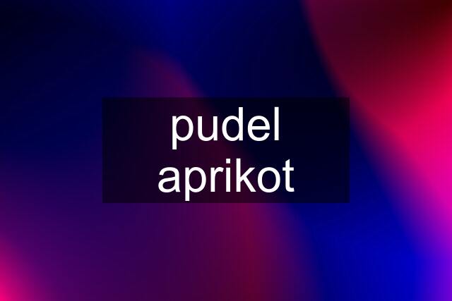 pudel aprikot