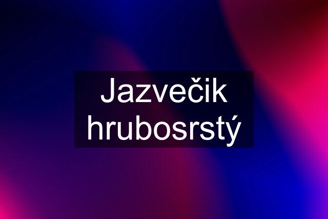 Jazvečik hrubosrstý