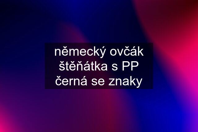 německý ovčák štěňátka s PP černá se znaky