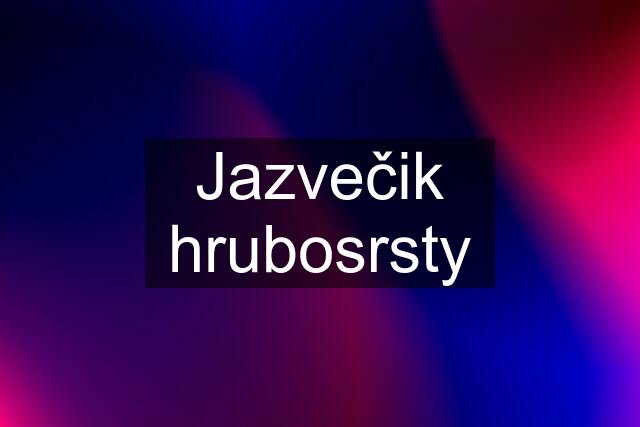 Jazvečik hrubosrsty