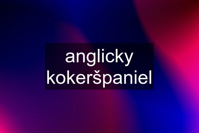 anglicky kokeršpaniel