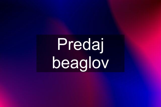 Predaj beaglov