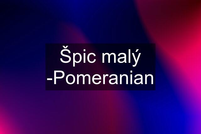 Špic malý -Pomeranian