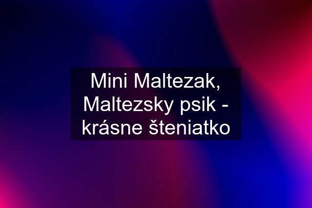 Mini Maltezak, Maltezsky psik - krásne šteniatko