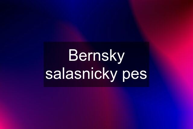 Bernsky salasnicky pes