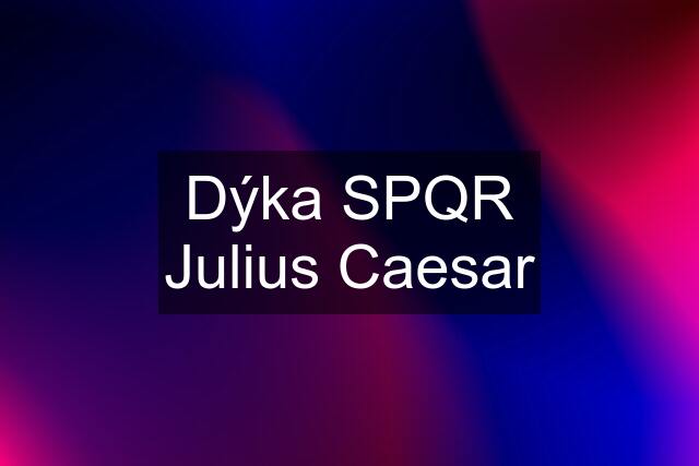 Dýka SPQR Julius Caesar