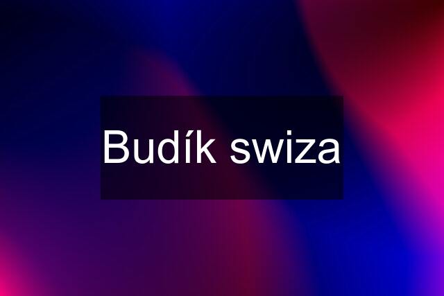 Budík swiza