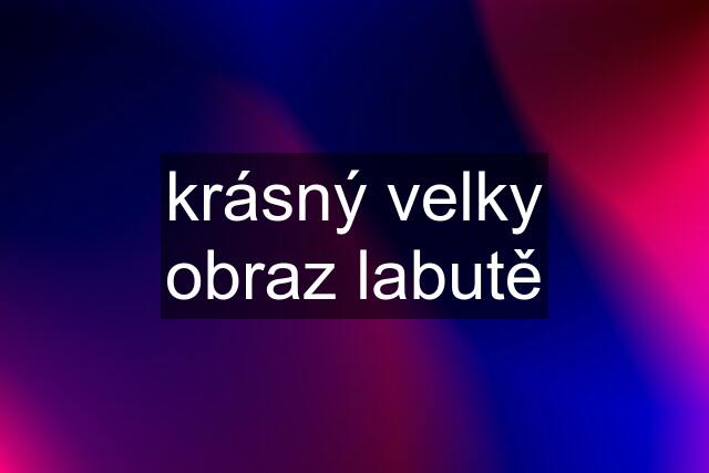 krásný velky obraz labutě