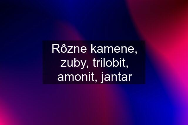 Rôzne kamene, zuby, trilobit, amonit, jantar