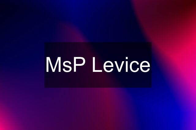 MsP Levice