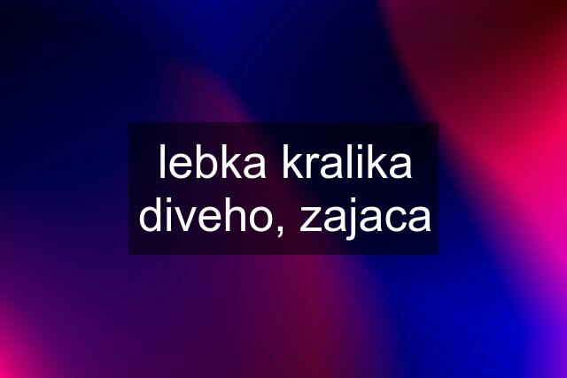 lebka kralika diveho, zajaca