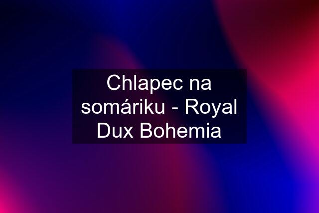 Chlapec na somáriku - Royal Dux Bohemia