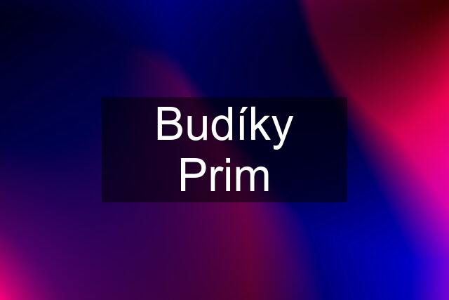 Budíky Prim