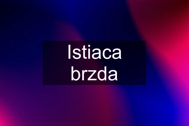 Istiaca brzda