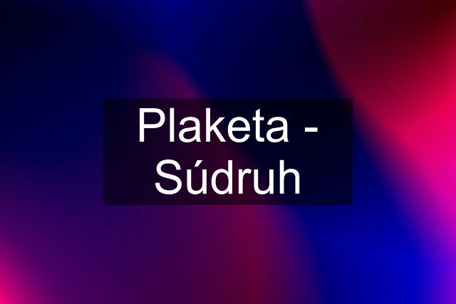 Plaketa - Súdruh