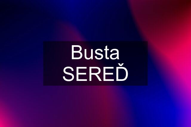 Busta SEREĎ