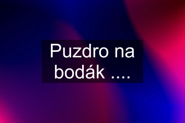 Puzdro na bodák ....