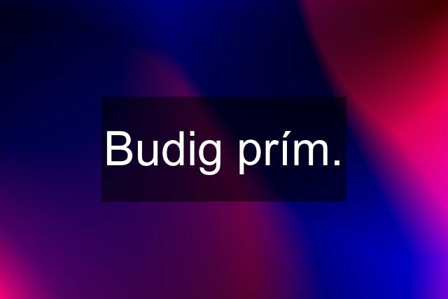 Budig prím.