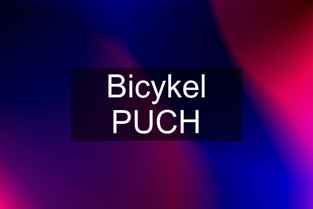 Bicykel PUCH