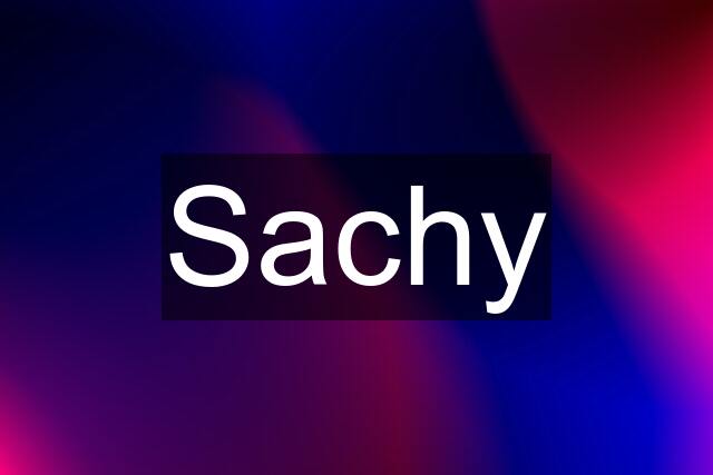 Sachy