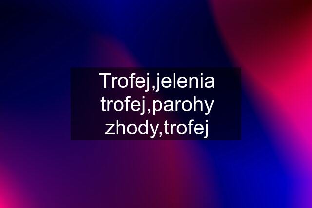 Trofej,jelenia trofej,parohy zhody,trofej