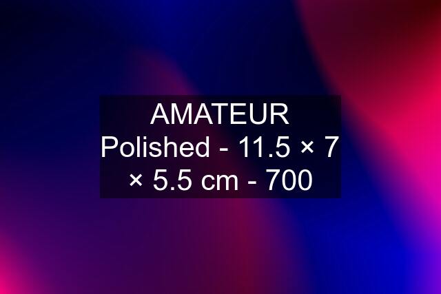 AMATEUR Polished - 11.5 × 7 × 5.5 cm - 700