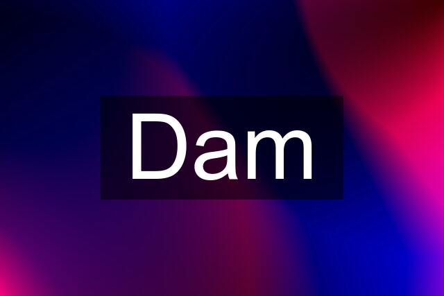 Dam