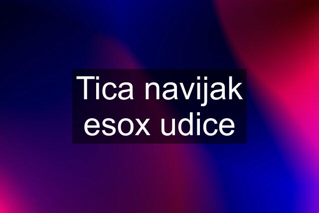 Tica navijak esox udice