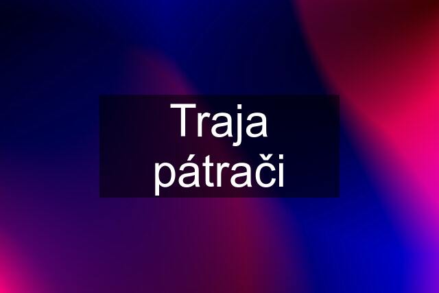 Traja pátrači