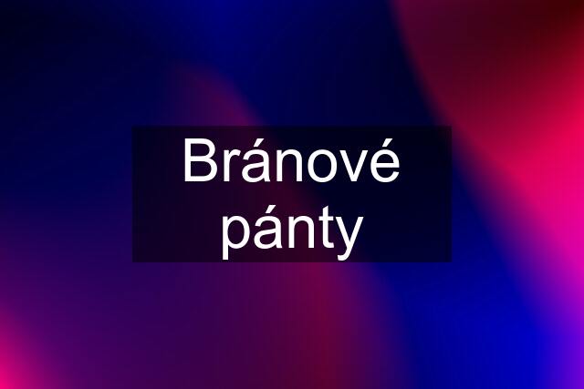 Bránové pánty