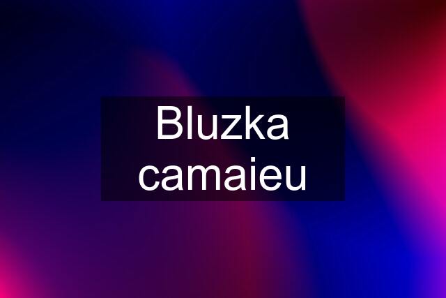 Bluzka camaieu