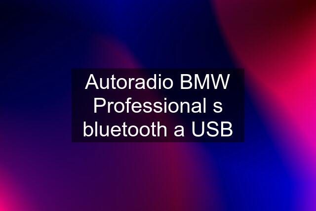 Autoradio BMW Professional s bluetooth a USB