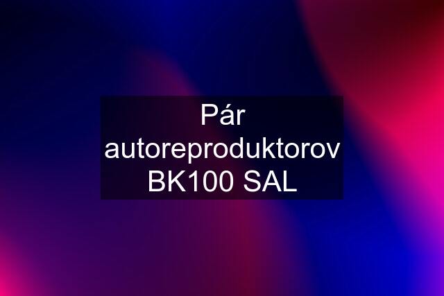 Pár autoreproduktorov BK100 SAL